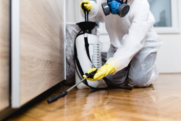 Best Termite Control Services  in Wolf Creek, UT