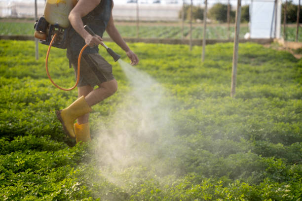 Best Residential Pest Control  in Wolf Creek, UT