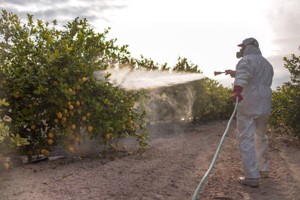 Best Pest Removal Services  in Wolf Creek, UT