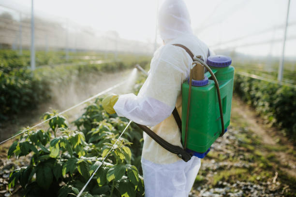 Best Best Pest Control Companies  in Wolf Creek, UT